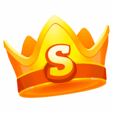Spin King logo